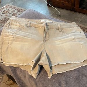 Torrid raw edge shorts